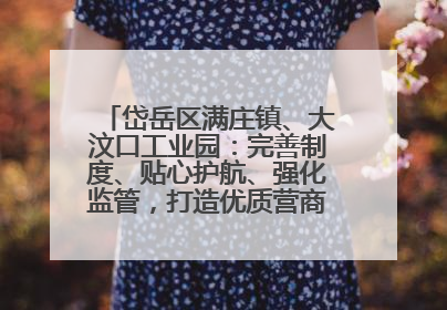 岱岳区满庄镇、大汶口工业园：完善制度、贴心护航、强化监管，打造优质营商“强磁场”