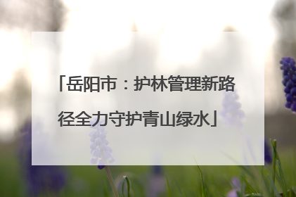 岳阳市：护林管理新路径全力守护青山绿水