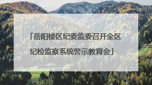 岳阳楼区纪委监委召开全区纪检监察系统警示教育会
