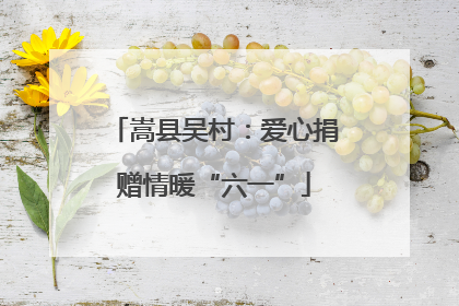 嵩县吴村：爱心捐赠情暖“六一”