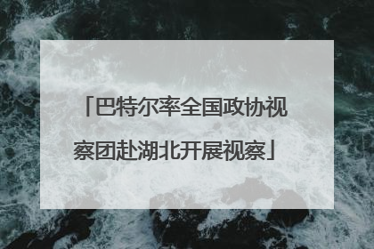 巴特尔率全国政协视察团赴湖北开展视察