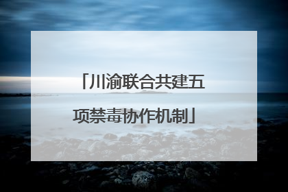 川渝联合共建五项禁毒协作机制