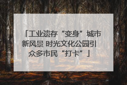 工业遗存“变身”城市新风景 时光文化公园引众多市民“打卡”