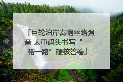 巨轮泊岸奏响丝路强音 太重码头书写“一带一路”硬核答卷