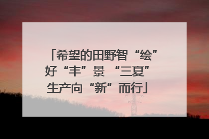 希望的田野智“绘”好“丰”景 “三夏”生产向“新”而行