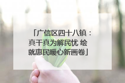 广信区四十八镇：真干真为解民忧 绘就惠民暖心新画卷