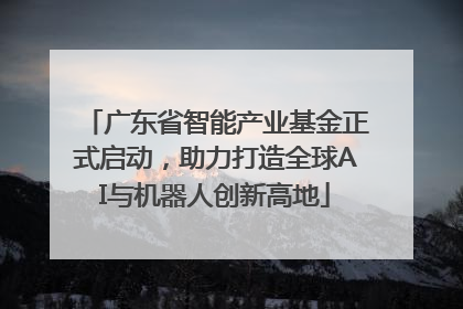 广东省智能产业基金正式启动，助力打造全球AI与机器人创新高地