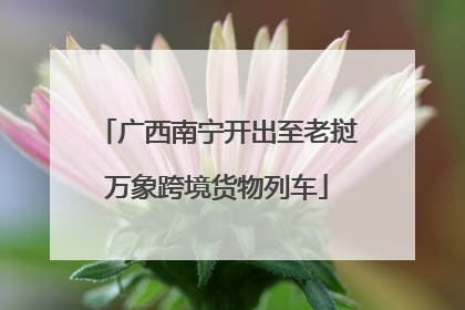 广西南宁开出至老挝万象跨境货物列车