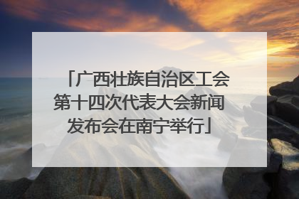 广西壮族自治区工会第十四次代表大会新闻发布会在南宁举行