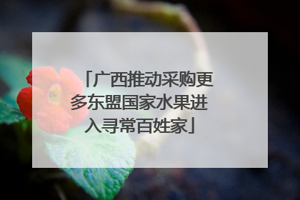 广西推动采购更多东盟国家水果进入寻常百姓家