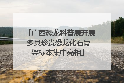 广西恐龙科普展开展 多具珍贵恐龙化石骨架标本集中亮相