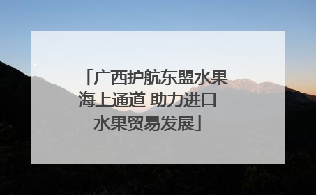 广西护航东盟水果海上通道 助力进口水果贸易发展