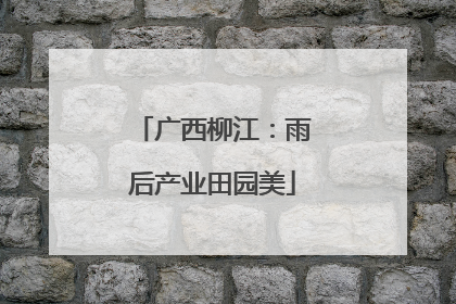 广西柳江：雨后产业田园美
