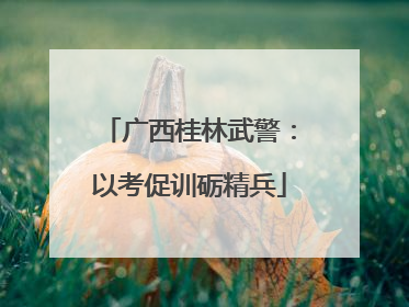 广西桂林武警：以考促训砺精兵