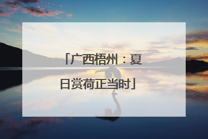 广西梧州：夏日赏荷正当时