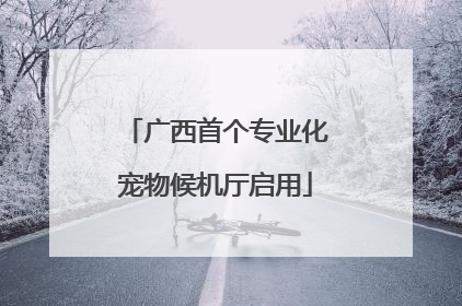 广西首个专业化宠物候机厅启用