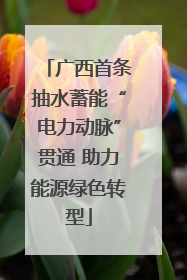 广西首条抽水蓄能“电力动脉”贯通 助力能源绿色转型