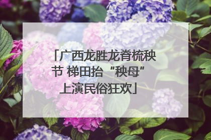 广西龙胜龙脊梳秧节 梯田抬“秧母”上演民俗狂欢