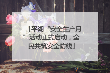 平湖“安全生产月”活动正式启动，全民共筑安全防线