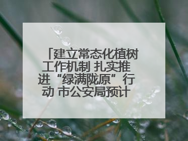 建立常态化植树工作机制 扎实推进“绿满陇原”行动 市公安局预计年底前完成1402亩绿化任务