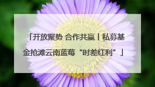 开放聚势 合作共赢丨私募基金抢滩云南蓝莓“时差红利”