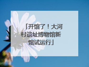 开馆了！大河村遗址博物馆新馆试运行