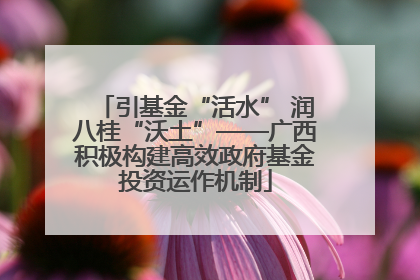 引基金“活水” 润八桂“沃土”——广西积极构建高效政府基金投资运作机制
