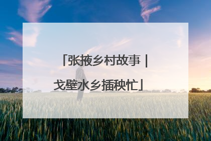 张掖乡村故事｜戈壁水乡插秧忙