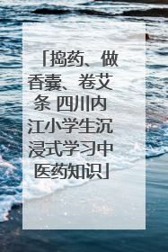 捣药、做香囊、卷艾条 四川内江小学生沉浸式学习中医药知识