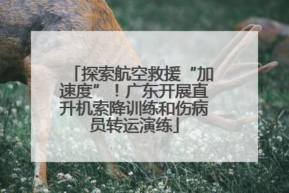 探索航空救援“加速度”！广东开展直升机索降训练和伤病员转运演练