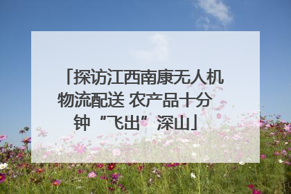 探访江西南康无人机物流配送 农产品十分钟“飞出”深山