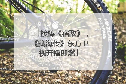 接棒《宿敌》，《藏海传》东方卫视开播即燃