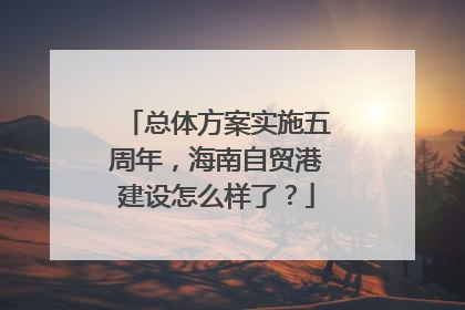 总体方案实施五周年，海南自贸港建设怎么样了？