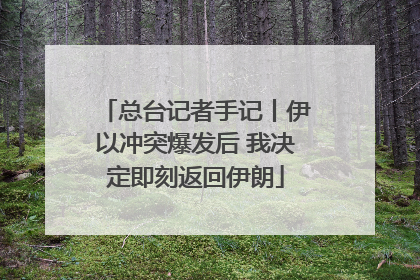 总台记者手记丨伊以冲突爆发后 我决定即刻返回伊朗
