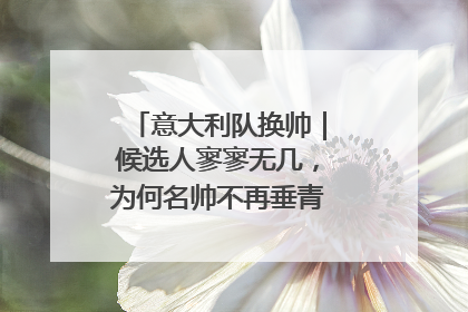 意大利队换帅｜候选人寥寥无几，为何名帅不再垂青“蓝衣军团”？