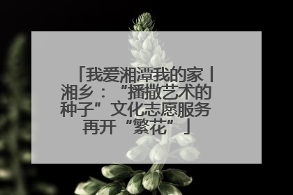 我爱湘潭我的家丨湘乡：“播撒艺术的种子”文化志愿服务再开“繁花”