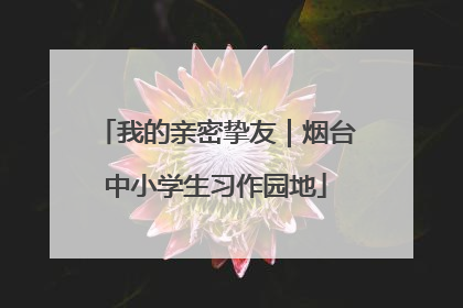 我的亲密挚友｜烟台中小学生习作园地
