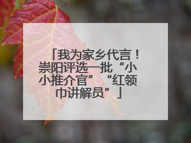 我为家乡代言！崇阳评选一批“小小推介官”“红领巾讲解员”