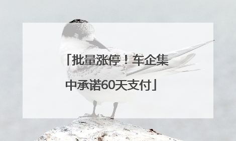 批量涨停！车企集中承诺60天支付