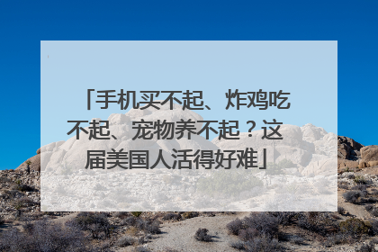 手机买不起、炸鸡吃不起、宠物养不起？这届美国人活得好难