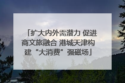 扩大内外需潜力 促进商文旅融合 港城天津构建“大消费”强磁场