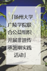 扬州大学广陵学院联合公益组织开展非遗传承暑期实践活动