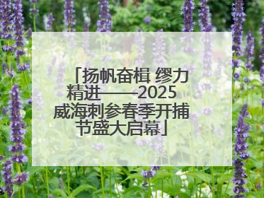 扬帆奋楫 缪力精进——2025威海刺参春季开捕节盛大启幕