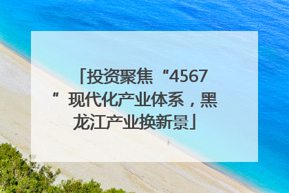 投资聚焦“4567”现代化产业体系，黑龙江产业换新景