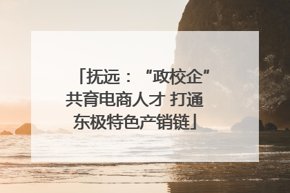抚远：“政校企”共育电商人才 打通东极特色产销链