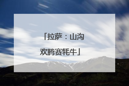 拉萨：山沟欢腾赛牦牛