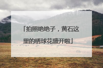 拍照绝绝子，黄石这里的绣球花盛开啦