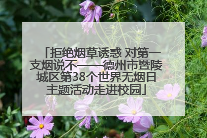 拒绝烟草诱惑 对第一支烟说不——德州市暨陵城区第38个世界无烟日主题活动走进校园