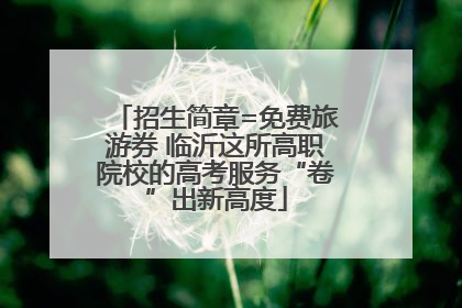 招生简章=免费旅游券 临沂这所高职院校的高考服务“卷”出新高度