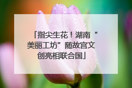 指尖生花！湖南“美丽工坊”随故宫文创亮相联合国